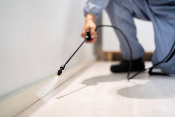 Rodent Entry Point Assessment in Leith-Hatfield