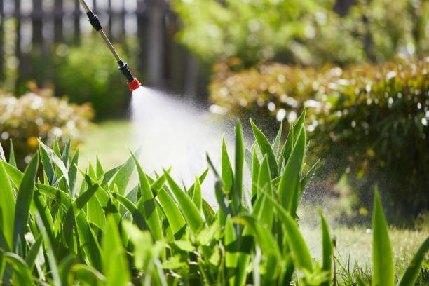 Tamper-Resistant Bait Stations for Rodents in Leith-Hatfield