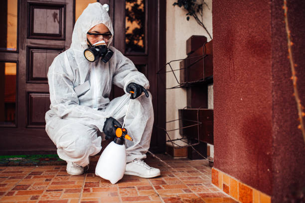 Attic and Crawl Space Rodent Treatment in Leith-Hatfield