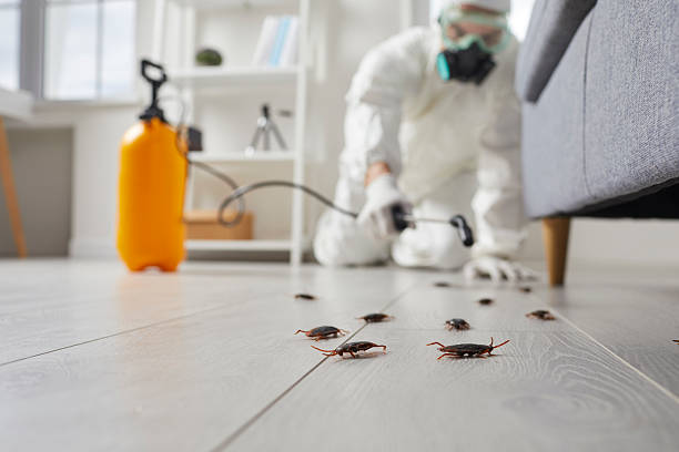 Commercial Rodent Management in Leith-Hatfield